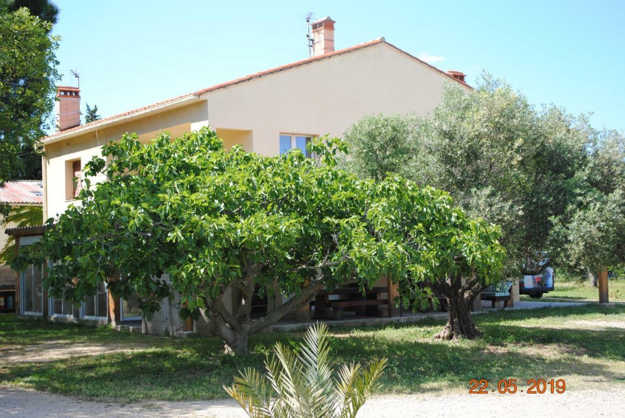 Mas De La Vignassa Villa Le Soler Exteriör bild